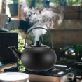 thumbnail image 2 of CUITING Stainless Steel Teapot w/ Infuser  Stovetop Safe - 60 characters, 2 of 7
