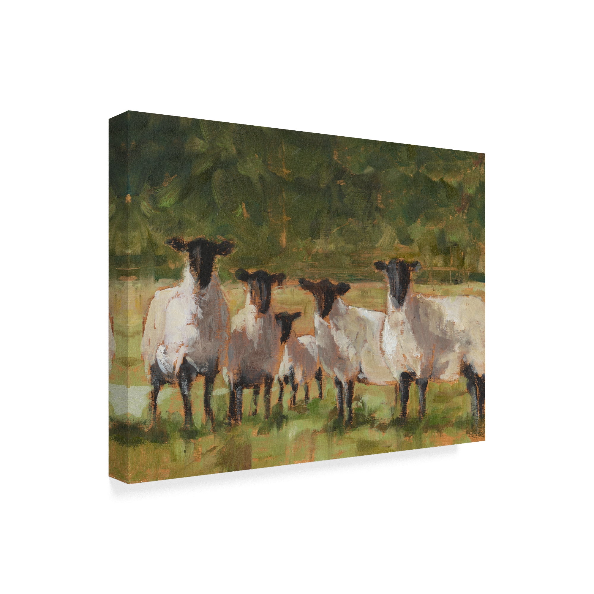 Trademark Fine Art 'Sheep Family II' Canvas Art by Ethan Harper