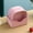 pink-10pcs, variant on 10Pcs Square Wheat Straw Plates Salad Bowl Reusable Food Serving Dishes with Rack