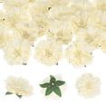 thumbnail image 1 of Uxcell 30-Pack Cabezas de Peonías Artificiales, Cabeza de Peonía de Seda Falsa de 2.4 Pulgadas para Boda/Ramo/Pared de Flores [Beige, 6cm], 1 of 7