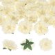 thumbnail image 1 of Uxcell 30-Pack Cabezas de Peonías Artificiales, Cabeza de Peonía de Seda Falsa de 2.4 Pulgadas para Boda/Ramo/Pared de Flores [Beige, 6cm], 1 of 7