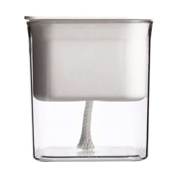 Self Watering Planter Flower Pot Transparent Decorative Indoor House Plants Planter for All Plants Herbs
