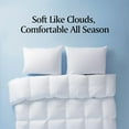 thumbnail image 5 of Royal Luxe Goose Feather Down Fiber Comforter All Season Comforter - Twin Size Duvet Insert, 68”x88”, 5 of 7
