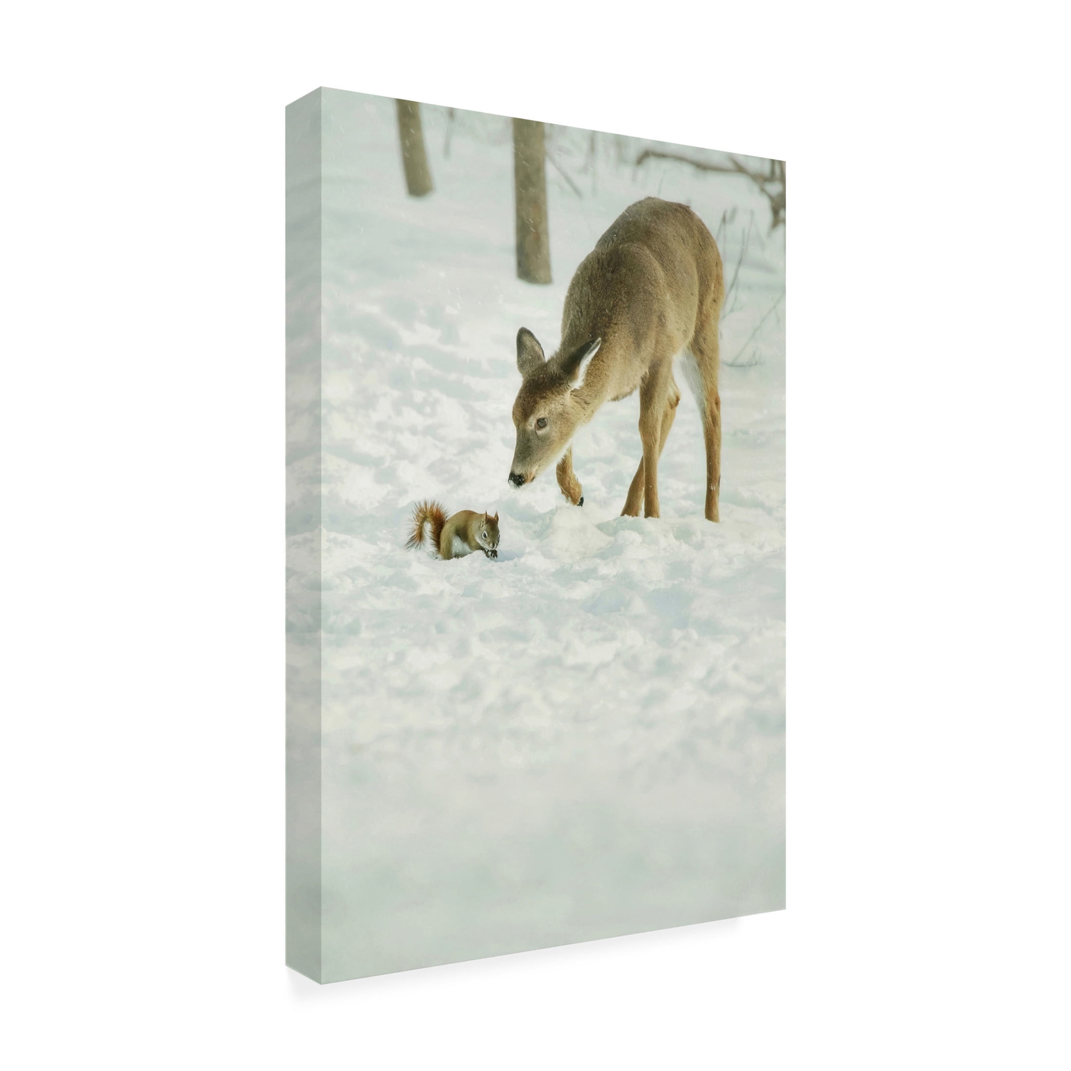 Canvas Wall Art - Carrie Ann Grippo-Pike 'Winter Squirrel and Deer' Wall Art for Living Room, Bedroom, or Office Décor by Trademark Fine Art - 30 x 47 Inches