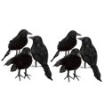 thumbnail image 1 of 6 X Decoración de Halloween Cuervo Cuervo Cuervo artificial con plumas Pájaro negro ACTIVE Biensenido a ACTIVE, 1 of 3