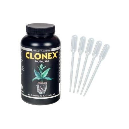 hormone pipettes clonex rooting