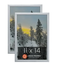 Craig Frames 23247018 11 x 14 Inch Picture Frame, Brushed Silver, Set of 2