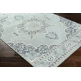 thumbnail image 5 of Livabliss Alfresco Vintage Indoor/Outdoor Runner Area Rug,2'5" x 7'10",Pale Blue, 5 of 8