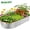 1 Pack, variant on CityOut Raised Garden Bed Kit,6×3×1ft Raised Garden Boxes Outdoor for Vegetables and Flowers,Silver