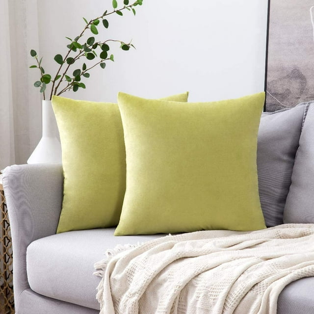 Juego de 2 Fundas de Cojines de Terciopelo Almohada Decorativa para Sofá Súper Suave Decoración Cómoda Hogar Sala de Estar Dormitorio para Sofá 40X40CM Amarillo Verde