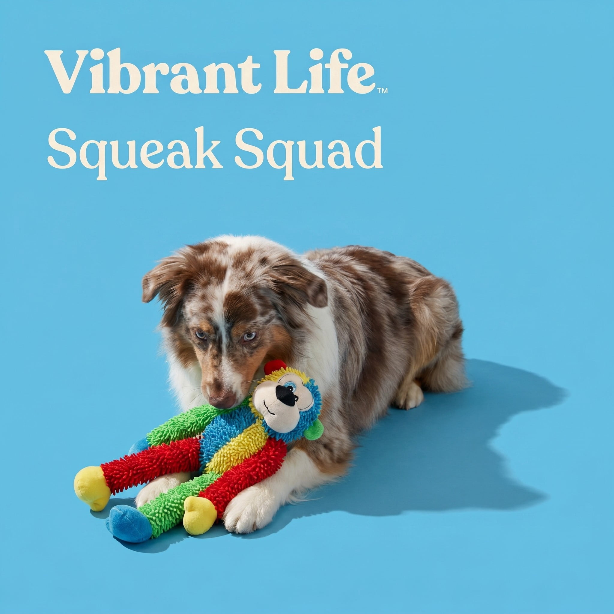 Vibrant Life Multicrew Monkey Plush Dog Toy, 18 inches, with Six