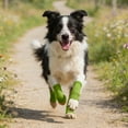 thumbnail image 3 of Knitted Breathable Dog Elbow Protector Leg Warmers for Small Medium Puppy Anti Licking Injury Recovery Comfort Wear, 3 of 5