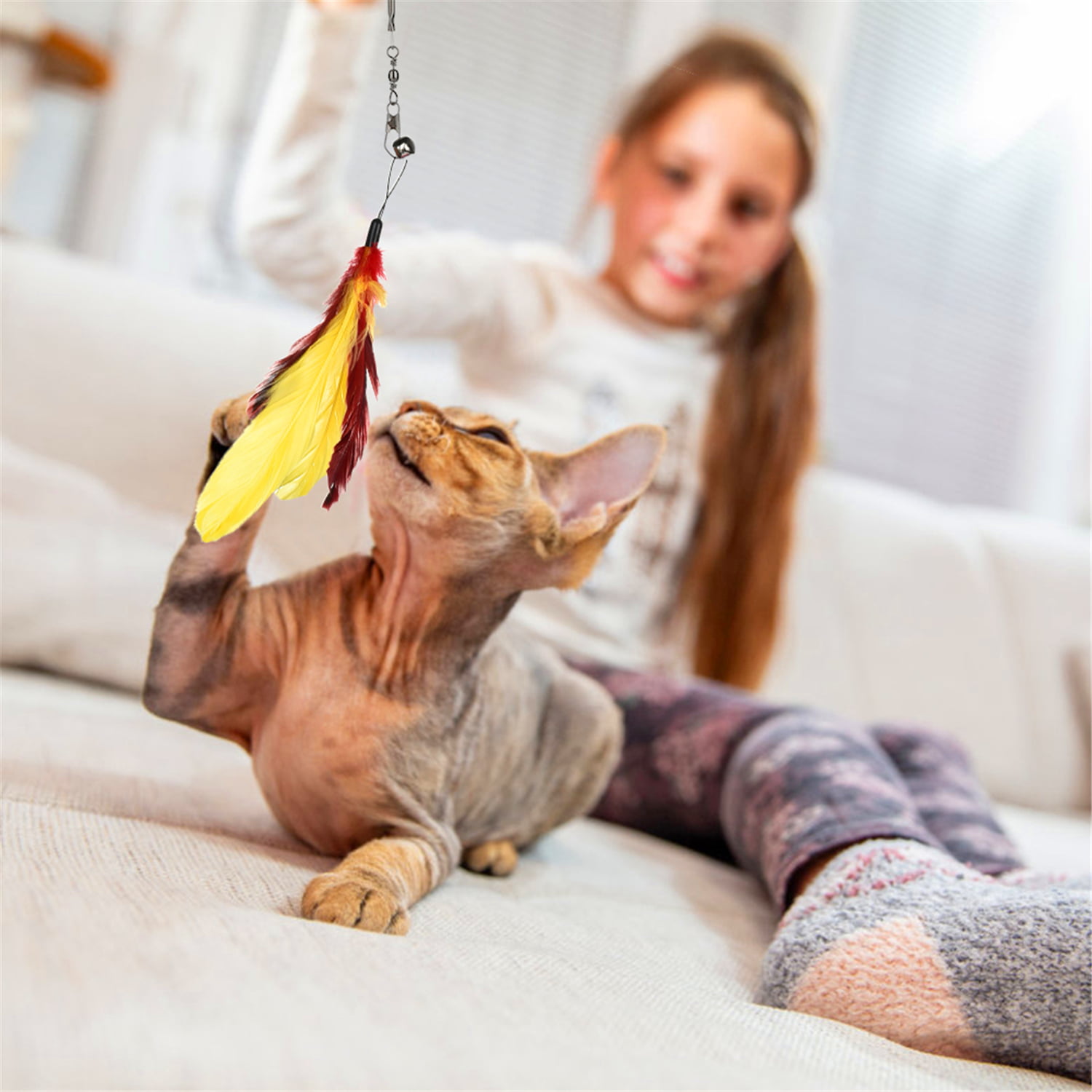Cat Teaser Toy Kitty Kitten Indoor Interactive Retractable Fishing Pole  Crucian Carp