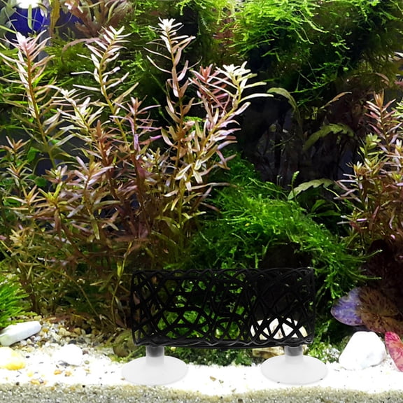 COMPUKAS Betta Fish Aquarium Decor Set with Black ABS Resting Spot, Perfect Habitat Accessory for Betta Fish Tanks