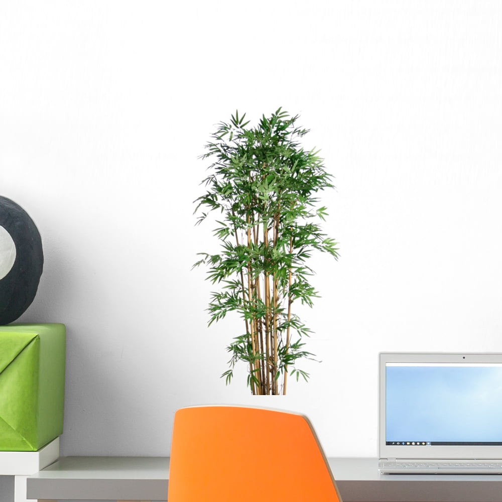 Bamboo Wall Decal by Wallmonkeys Peel and Stick Graphic (18 in H x 9 in