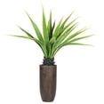thumbnail image 1 of 62.25 in. Agave Plant with Resin Planter, 1 of 1