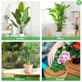 thumbnail image 3 of 4 Uds. Estera protectora de anillo de mantillo de árbol de fibras de coco de 17,5 pulgadas de diámetro, esteras de protección de árbol de coco Natural de 17,5 pulgadas, planta de disco de ár, 3 of 5