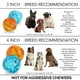 thumbnail image 4 of Juguete Interactivo OurPets IQ con Dispensador de Comida 10 cm para Perro, 4 of 8