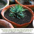 thumbnail image 3 of NOGIS 0.77lb Black Lava Rocks for Plants, Volcanic Rock Horticultural Lava Rock Soil for Landscaping Plants Drainage, Small Lava Rock Gravel for Succulents, Bonsai, Vase Fillers, Top Dressing, 3 of 6