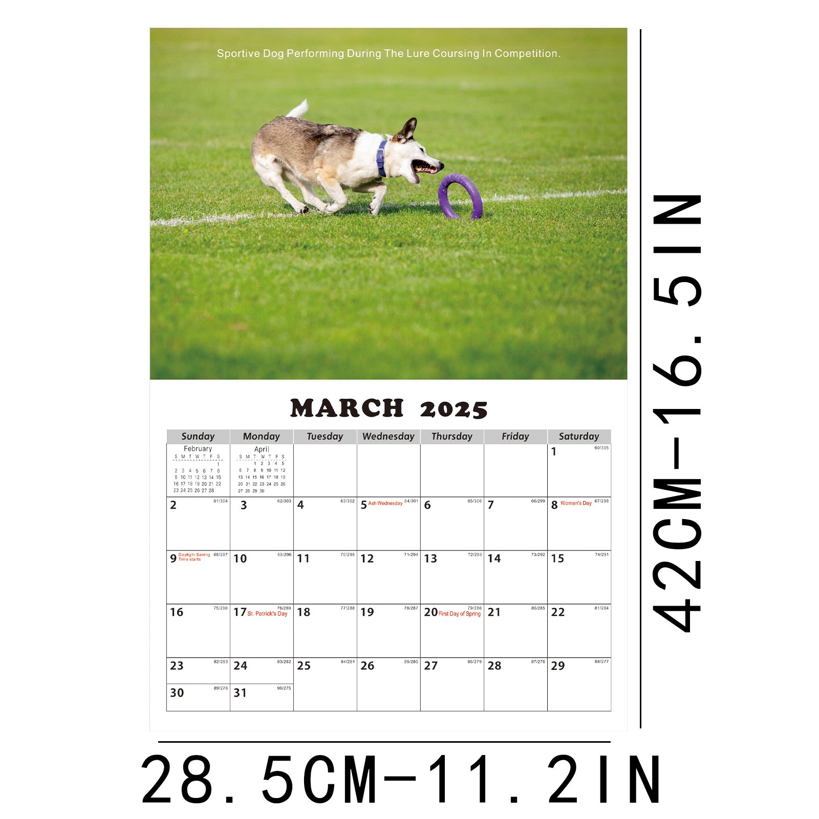 Walmart Clearance! Miommo 2025.12026.1 Husky Calendar 2025 Huskies