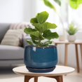 thumbnail image 4 of Maceta de cerámica G EPGardening, redonda, 9 pulgadas, color azul retro, 4 of 8