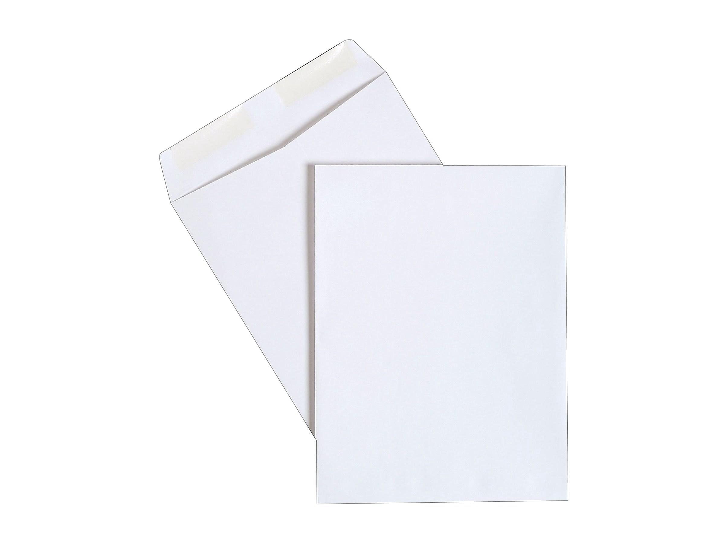 Staples Gummed Catalog Envelopes 9"L x 12"H White 500/Carton ST486949R-CCVS