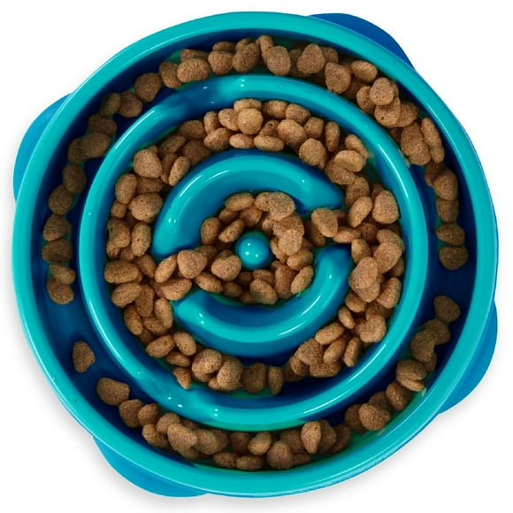 Plato de Comida Lenta Outward Hound Turquesa Mediano para Perros