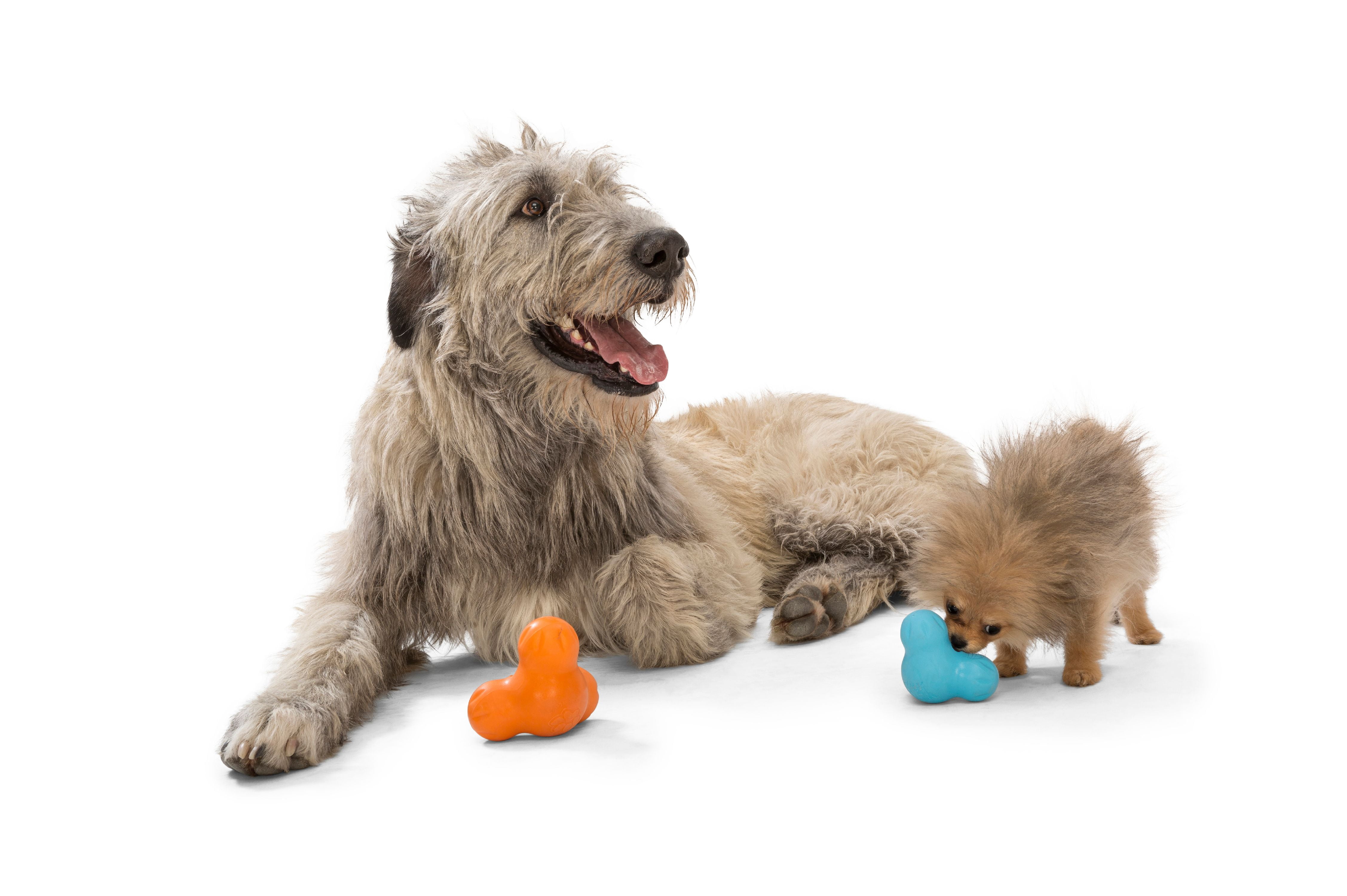 West Paw Zogoflex Tux Small 4" Dog Toy Aqua