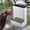 White, variant on Capacity Galvanized Chicken Feeder,Outdoor Poultry Feeder with Weatherproof Lid,Hanging Chicken Feeder, Coop Food Dispenser