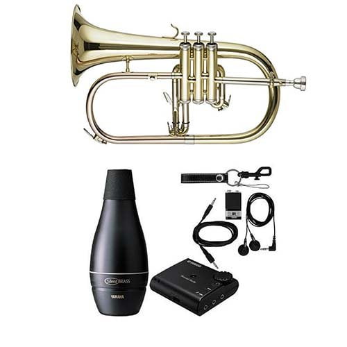 Band Directors Choice Bb Student Flugelhorn Pack in Lacquer