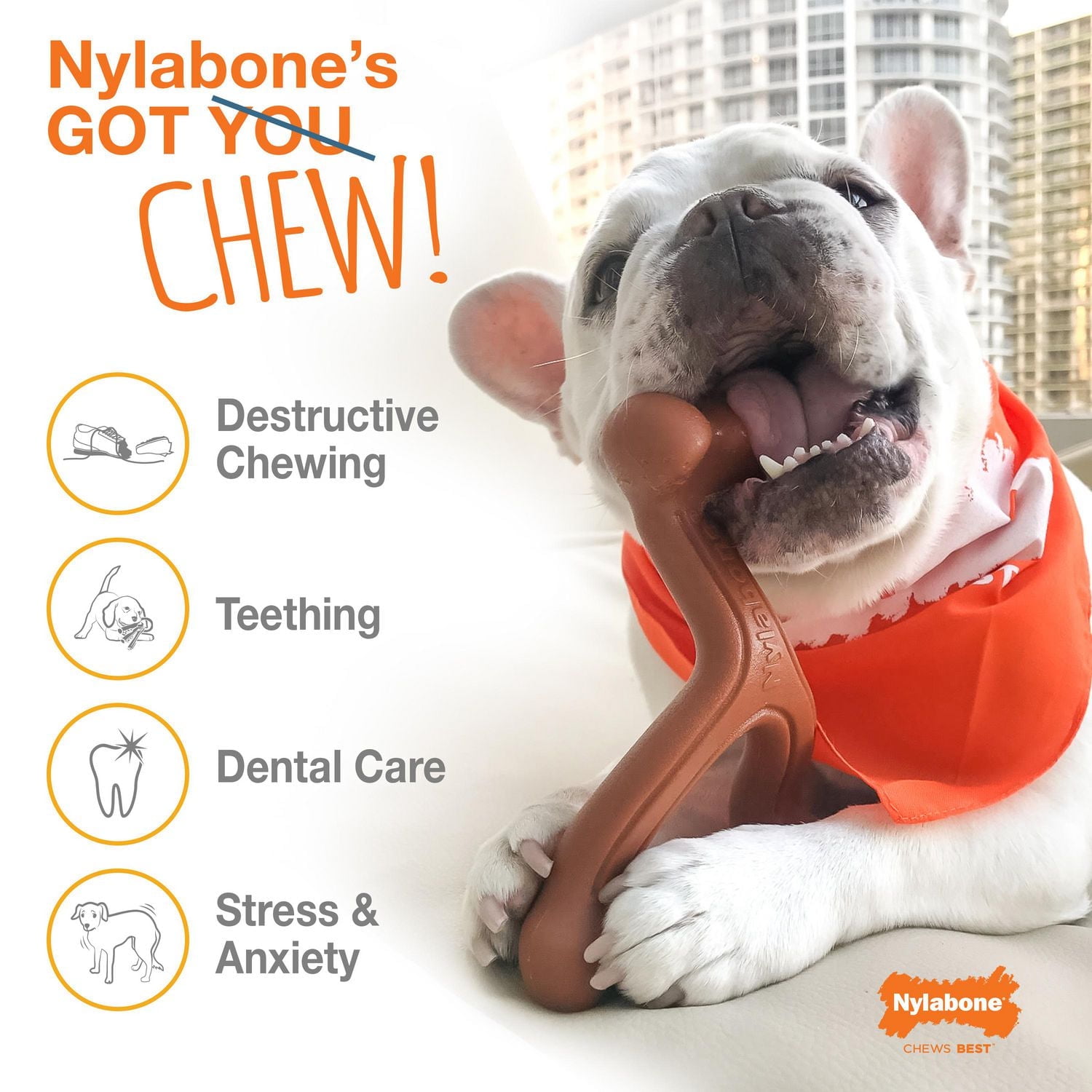 Nylabone Power Chew Bison Bone Alternative Chew Toy Bison Flavor Large