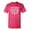 Pink, variant on Good Tidings And Cheer To Hell With This Year Sarcastic Humor Graphic Novelty Funny Tall T Shirt
