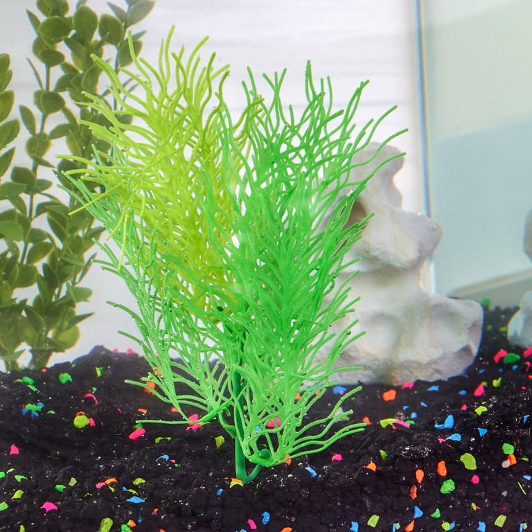 Aqua Culture Wavy Fern Aquarium Plant, Green