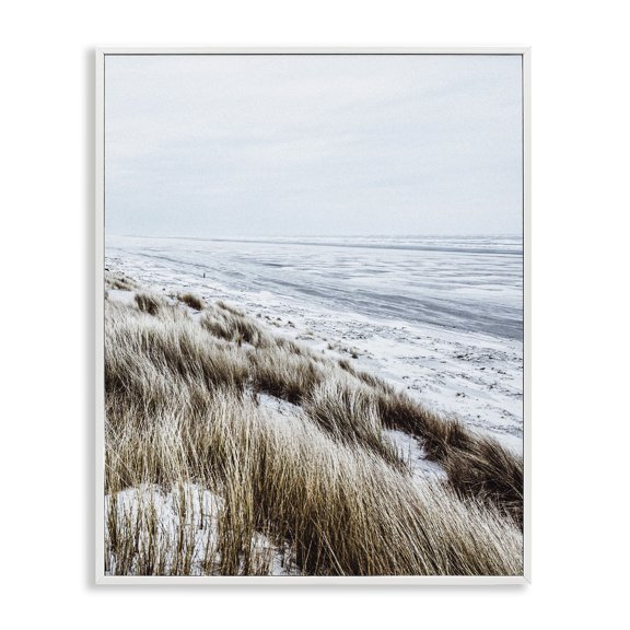 Stupell Industries Contemporary Beach Reeds Landscape White Framed Giclee Art, 11 x 14, by Incado
