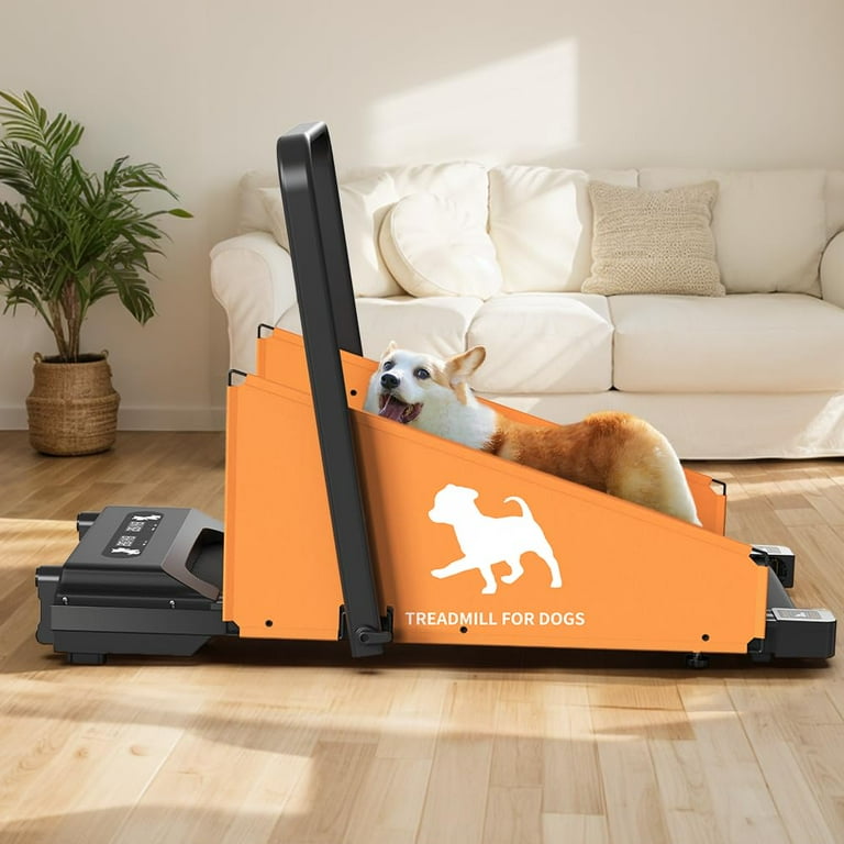 Dog treadmill wood new arrivals