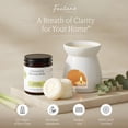 thumbnail image 2 of Wax melts FONTANA CANDLE CO. Lemongrass Eucalyptus 3 pastillas, 2 of 8