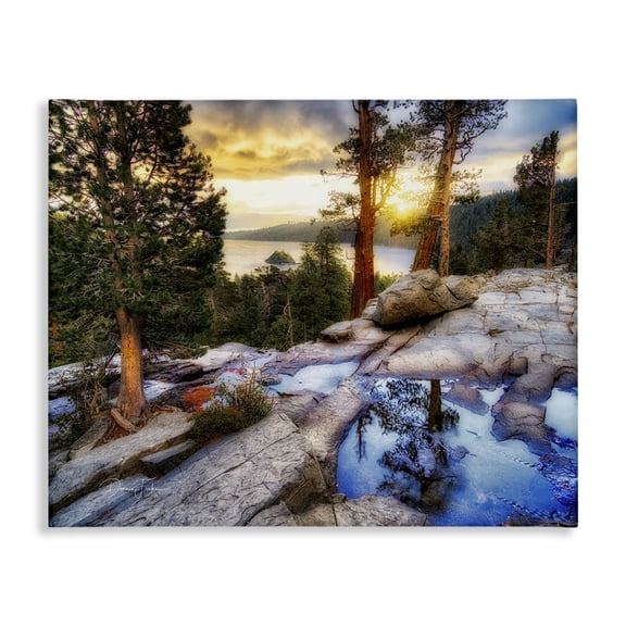 Stupell Industries Southwestern Forest Cliff Landscape Canvas Art, 20 x 16, by Dennis Frates