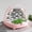 Pink, variant on Portable Silkworm Rearing Box, Breathable Silkworm Breeding Habitat with Observation Window for Kids Science Learning