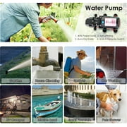 Rezlli 12V Water Pump for RV, Boat, and Camper, Self Priming Diaphragm Pump with Hose, 1 Pack