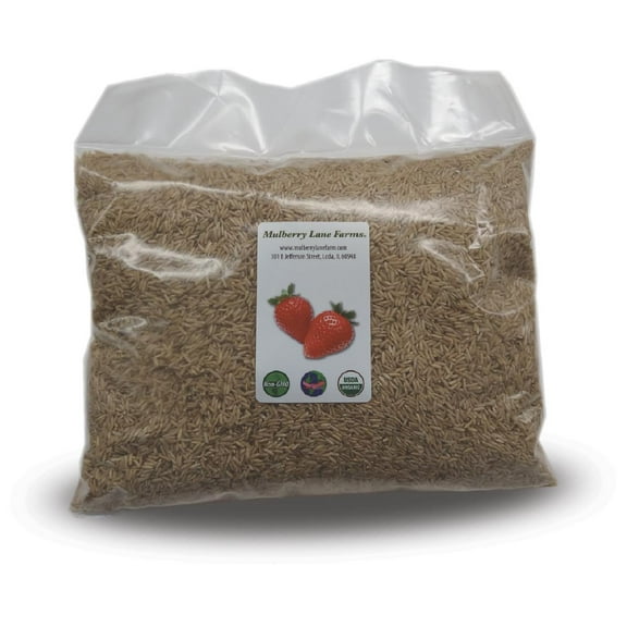 Basmati Rice, Brown, Ten Pounds (10 lbs) USDA Certified Organic, Non-GMO, Bulk by Mulberry Lane Farms