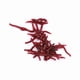 thumbnail image 5 of Paquete de 50 Cebos de Pesca Rojos para Cartas y Lubinas, Insectos Blandos, Lombrices de Tierra Falsas, Cebo Marino, Señuelos de Gusanos de Sanzre, Cebos Artificiales,, 5 of 7