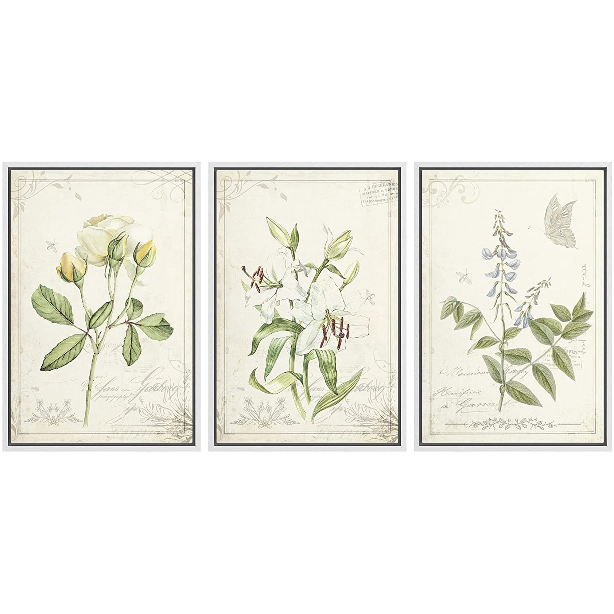 wall26 Framed Canvas Print Wall Art Set Victorian Style White Rose & Lily with Butterfly Nature Floral Illustrations Realism Rustic Wilderness for Living Room Bedroom Office - 16 x24