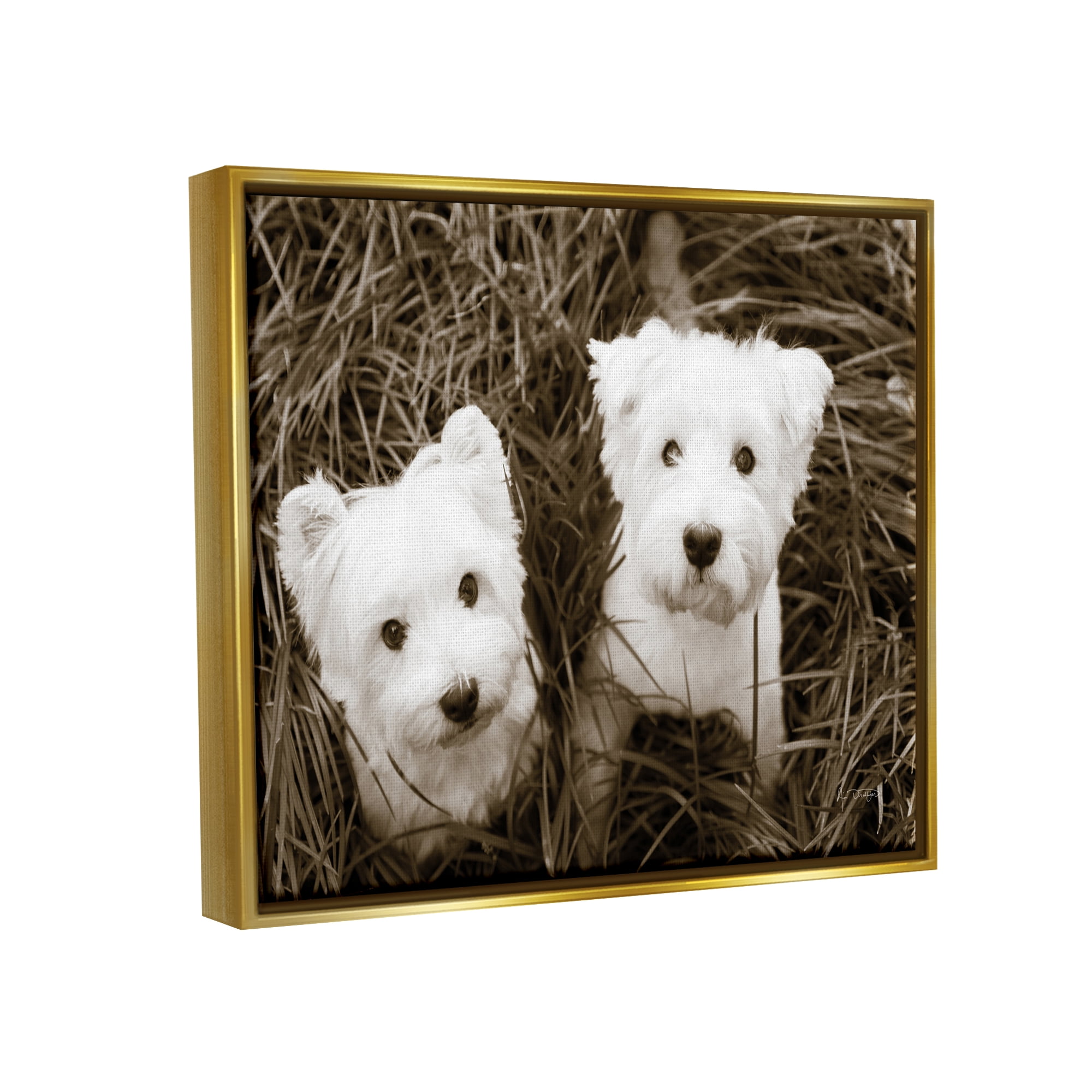 Stupell Industries White Terrier Puppies Animals & Insects Photography Gold Floater Framed Art Print Wall Art, 21 x 17