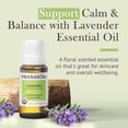 thumbnail image 3 of Pranarom USDA Certified Organic Lavender Essential Oil (15ml), 100% Pure Undiluted Therapeutic Grade from French Alps for Aromatherapy, Diffuser, Healthy Skin & Hair, Massage, Relaxation, 3 of 5