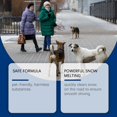 thumbnail image 5 of SPOORYYO Pet Safe Snow Melter, Fast Acting Ice Melt Formula for Driveway Sidewalk, Non Irritating to Paws, Odor Free, Home and Public Area Use, 5 of 9