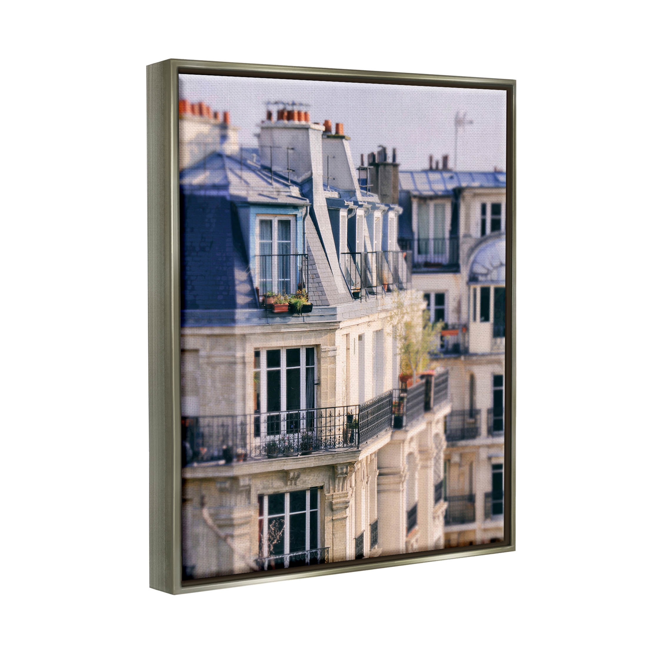 Parisian Architecture Buildings Town & City Photograph Luster Gray Framed Art Print Wall Art