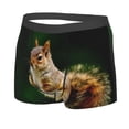 thumbnail image 2 of Balery Squirrels Eating Peanuts On The Tree Men's Boxer Briefs, Soft and Breathable Cotton Underwear with nylon Waistband-XX-Large, 2 of 9