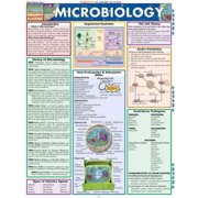 Microbiology (Other)
