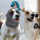 thumbnail image 5 of Cojín para perros que calma, orejeras para perros, protección contra ruidos, capucha calmante para perros con ansiedad L gris, 5 of 7