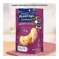 thumbnail image 4 of Nuez de la India Planters sabor Sal de mar y Romero 142g, 4 of 5